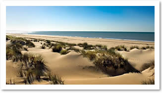 Sand dunes Punta Umbria